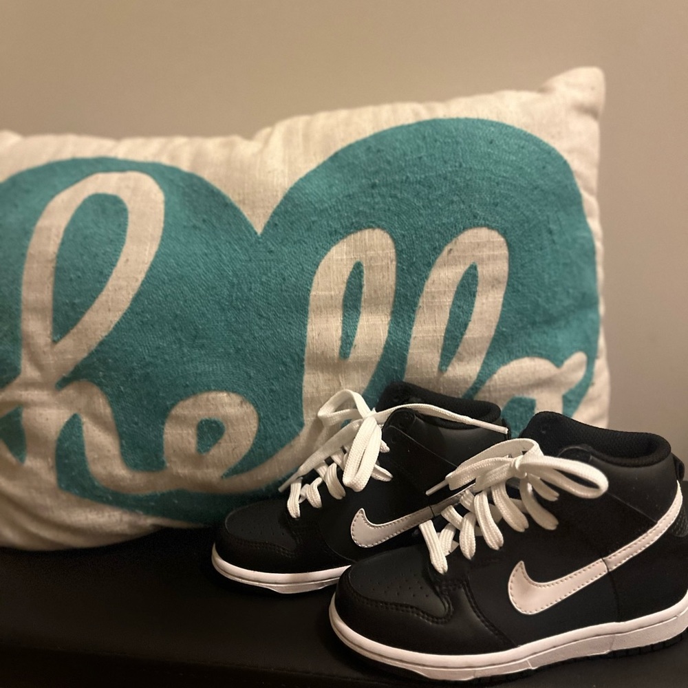 Brand new Nike Dunks Hi!  Never worn. Size 11C